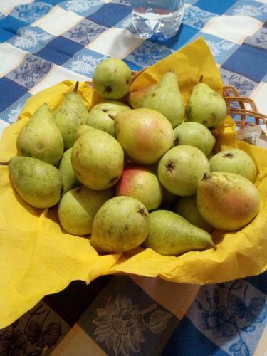 Bed & Breakfast Il Piccolo Principe