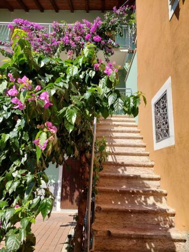 La Bougainville - Luxury Apartment