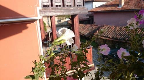 Panorama Family Hotel