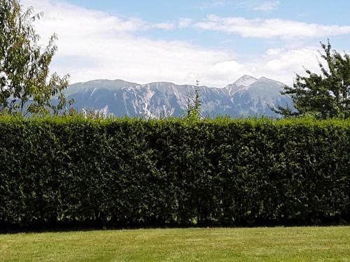 Apartment Natur