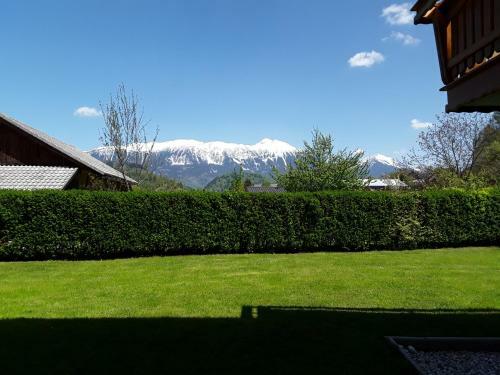 Apartment Natur
