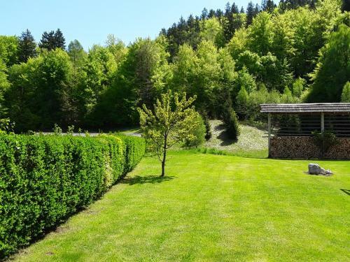 Apartment Natur
