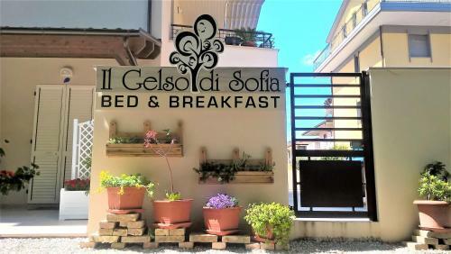 Il Gelso Di Sofia B&B