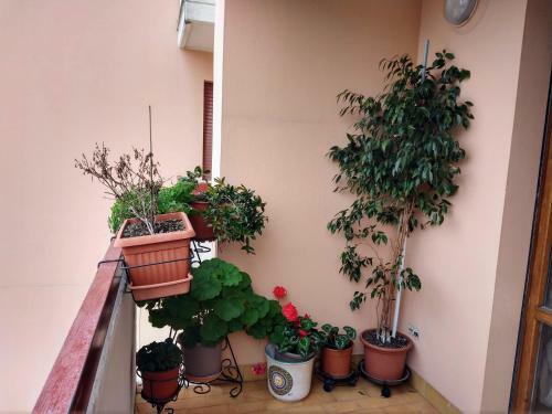 Apartamento Tiziana Beach