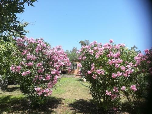 Villa Olia