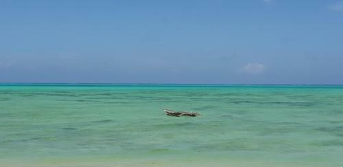 Apartamento Jambiani Guest Lodge Pemba
