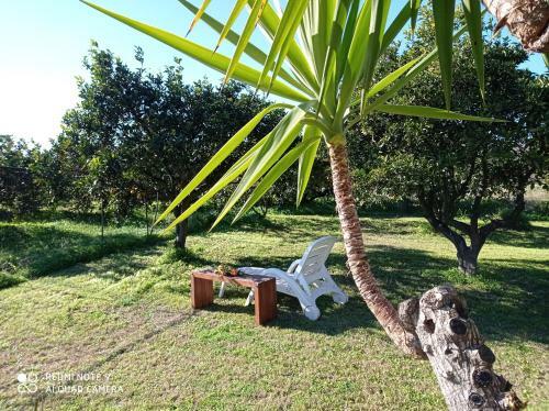 Apartamento S'ortali Holiday House