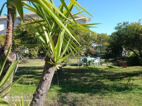 Apartamento S'ortali Holiday House