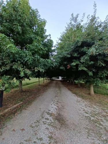 Bed & Breakfast Peachslice Community