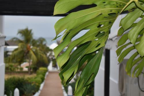 Hotel Kendwa Beach Resort