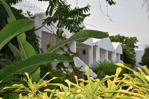 Hotel Kendwa Beach Resort