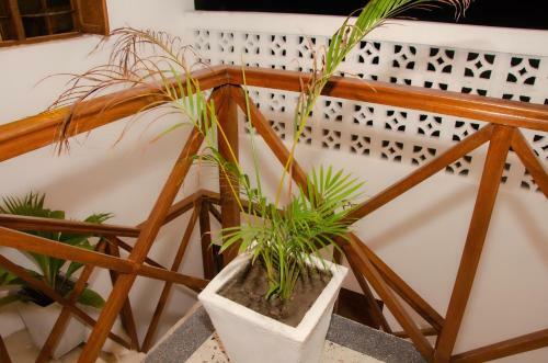 Lodge Lalazanzibar Garden Villa