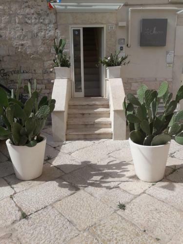 Hostal La Maison