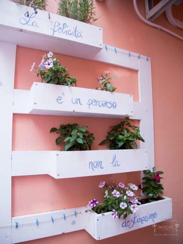 Hostal Bianca's Rooms