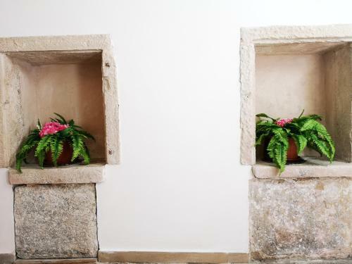 Apartamento La Casa Delle Sorprese