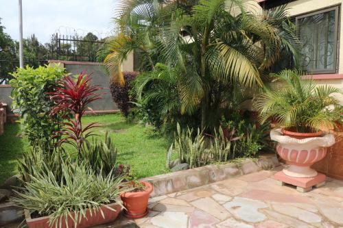 Apartamento Summit View Suite