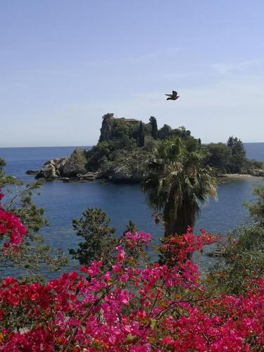 Apartamento Taorminapartments