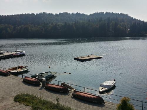 Bed & Breakfast Gostisce Jezero