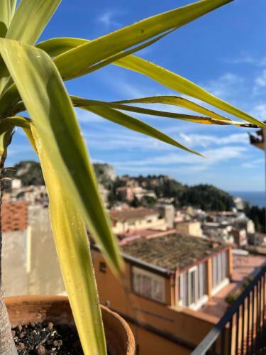 Bed & Breakfast Majolica Taormina