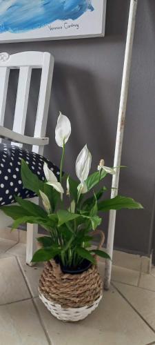 Apartamento V's Studio