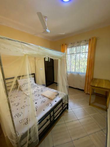 Hostal New Cosovo Backpackers` Lodge