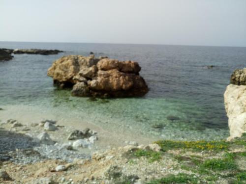 Appartamento Orchidea