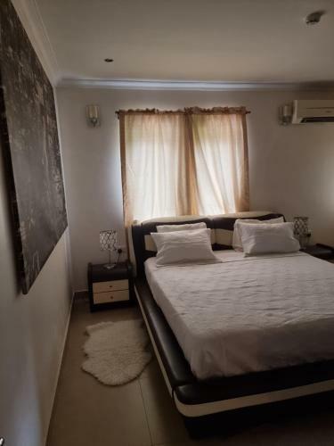Jay Spectaculah Apartment Ikoyi