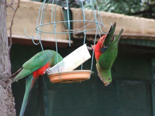 Bulwarra Bed & Breakfast