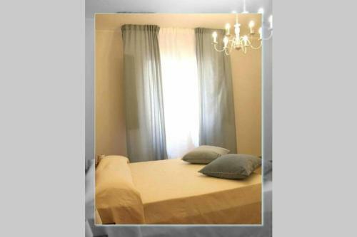 Hostal Movida Rooms