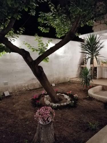 Casa Vacanze Nonna Lina
