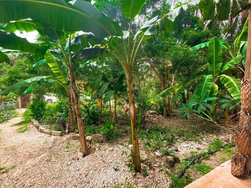 Bed & Breakfast Mawingu Guest House