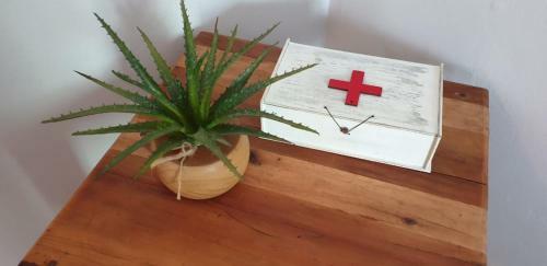 Apartamento Lemonblossom