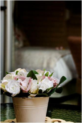 Hostal Villa Rose Cottages