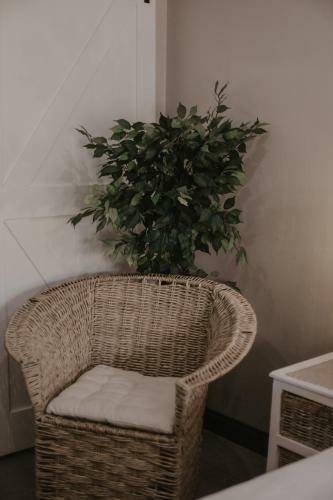 Hostal Villa Rose Guesthouse & Venue