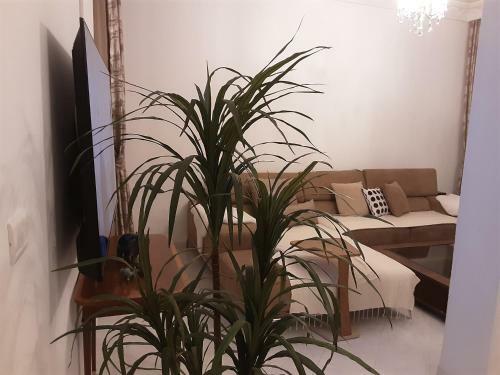 Apartamento Dar Sidi Salah
