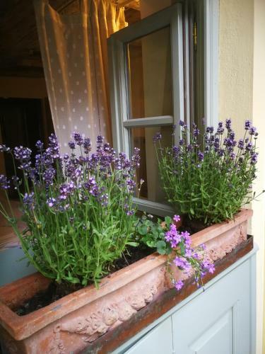 Bed & Breakfast La Casa Di Chlo�