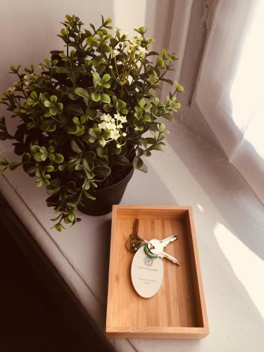 Apartamento Casa Ettolina Al Campus Einaudi
