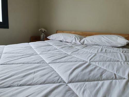 Hostal Chambre Priv�e Casablanca