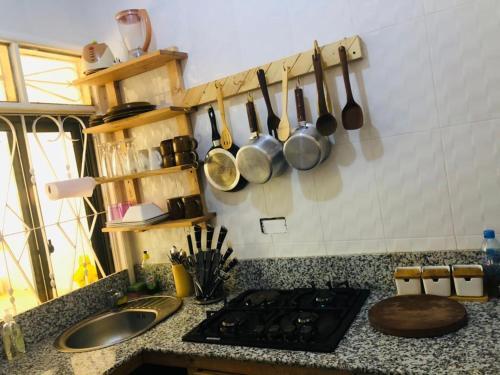 Apartamento Violate Homestay