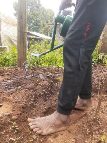 Mai Kilimanjaro Home Stay