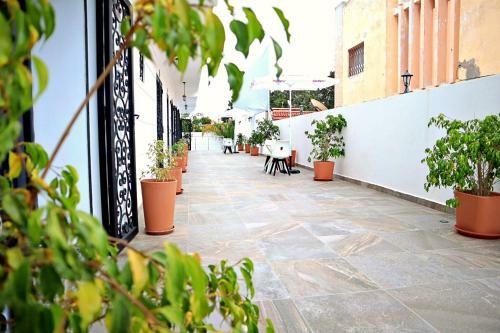 Hostal Dar Sophia By Arkan Eljadida