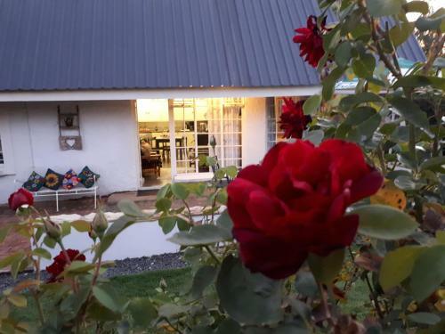 Hostal Honeysuckle Clarens