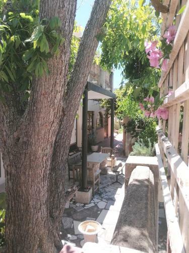 Hostal At Villa Fig Guest House