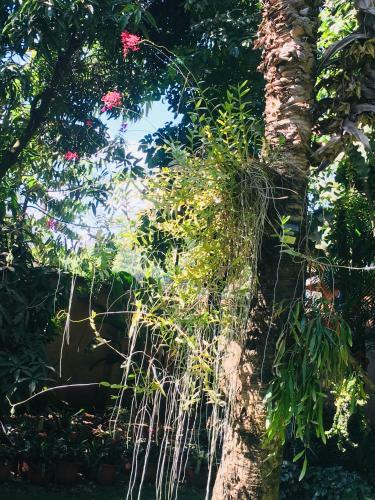 Apartamento 2 Bedroom Cottage In Moshi