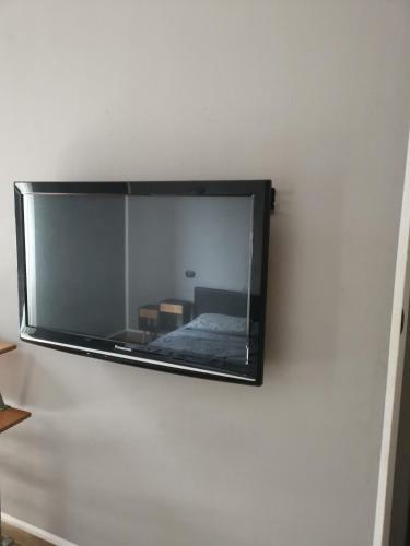 Hostal Aquarium Room Fish And Gastropods