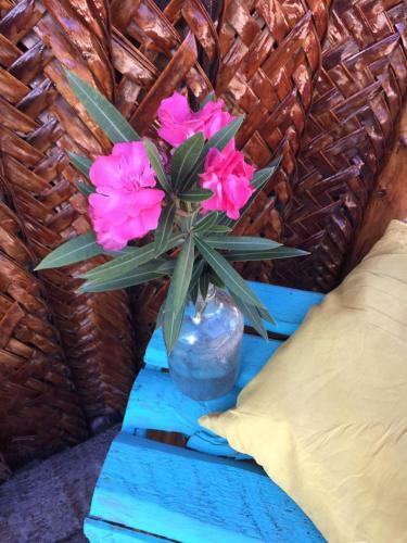 Bed & Breakfast Fisherman Lodge