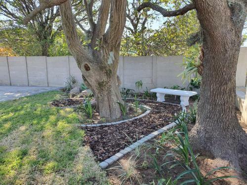 Hostal Coral Tree Boutique Guesthouse