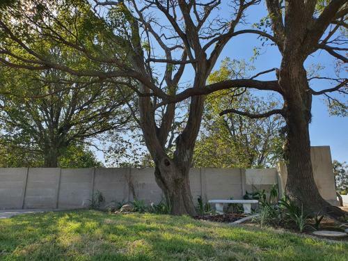 Hostal Coral Tree Boutique Guesthouse