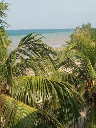 Hotel Safina Resort