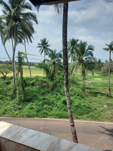 Hostal Meera's Guest Houses